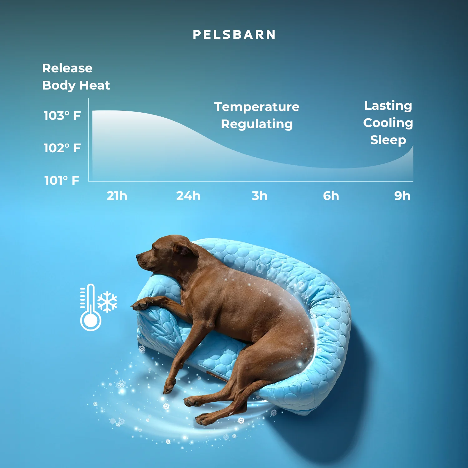 Orthopedic Cooling Dog Bed - Image 7