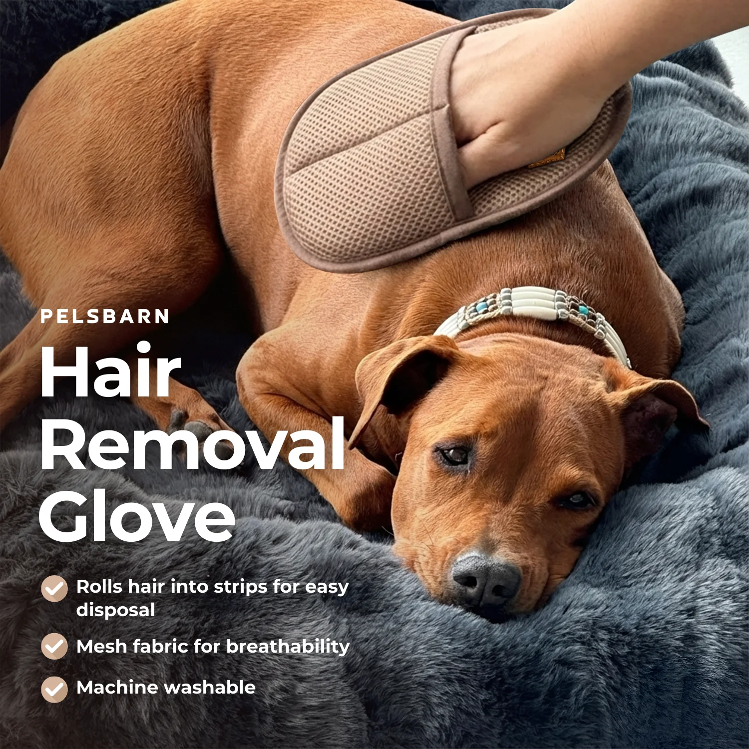 Remove Dog Hair in Seconds - Image 12