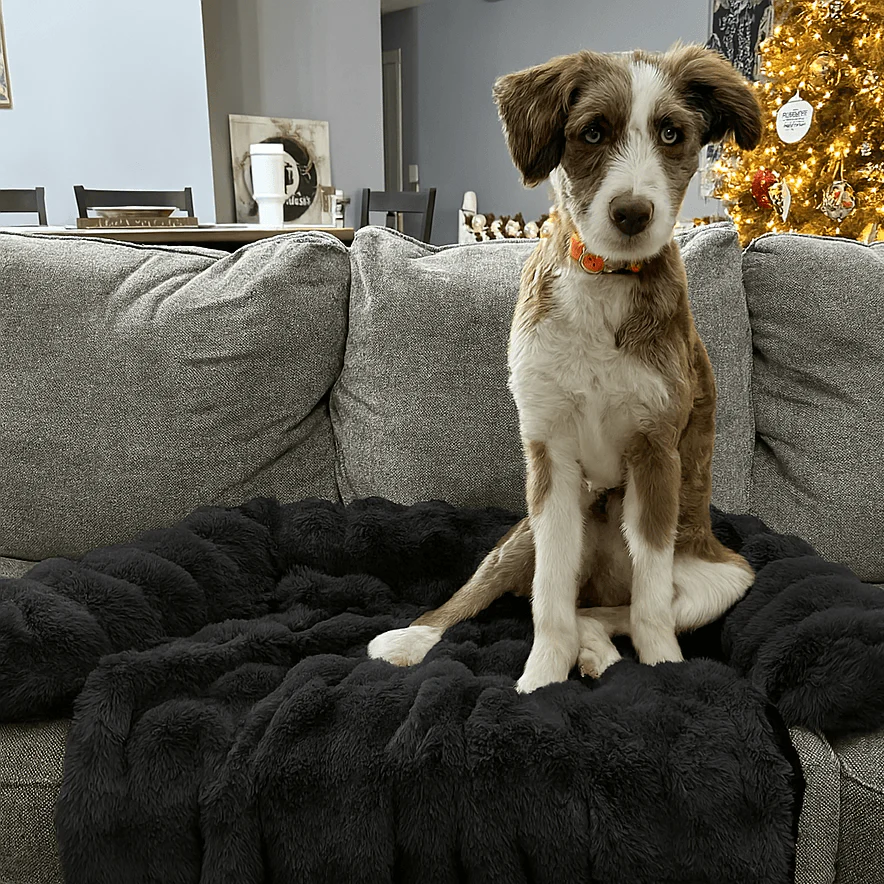 Pelsbarn Luxurious Sofa Bed - Image 12