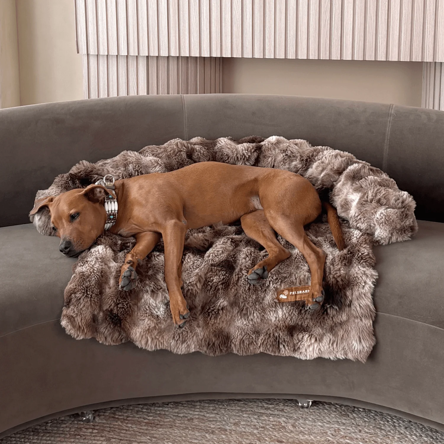Pelsbarn Luxurious Sofa Bed - Image 13