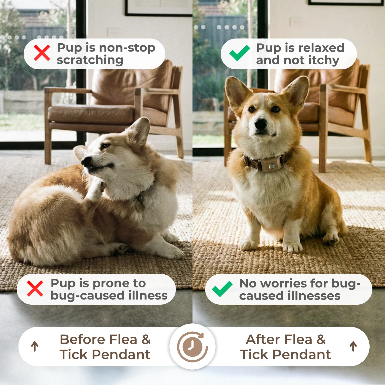 Pelsbarn Natural Flea and Tick Pendant - Image 14