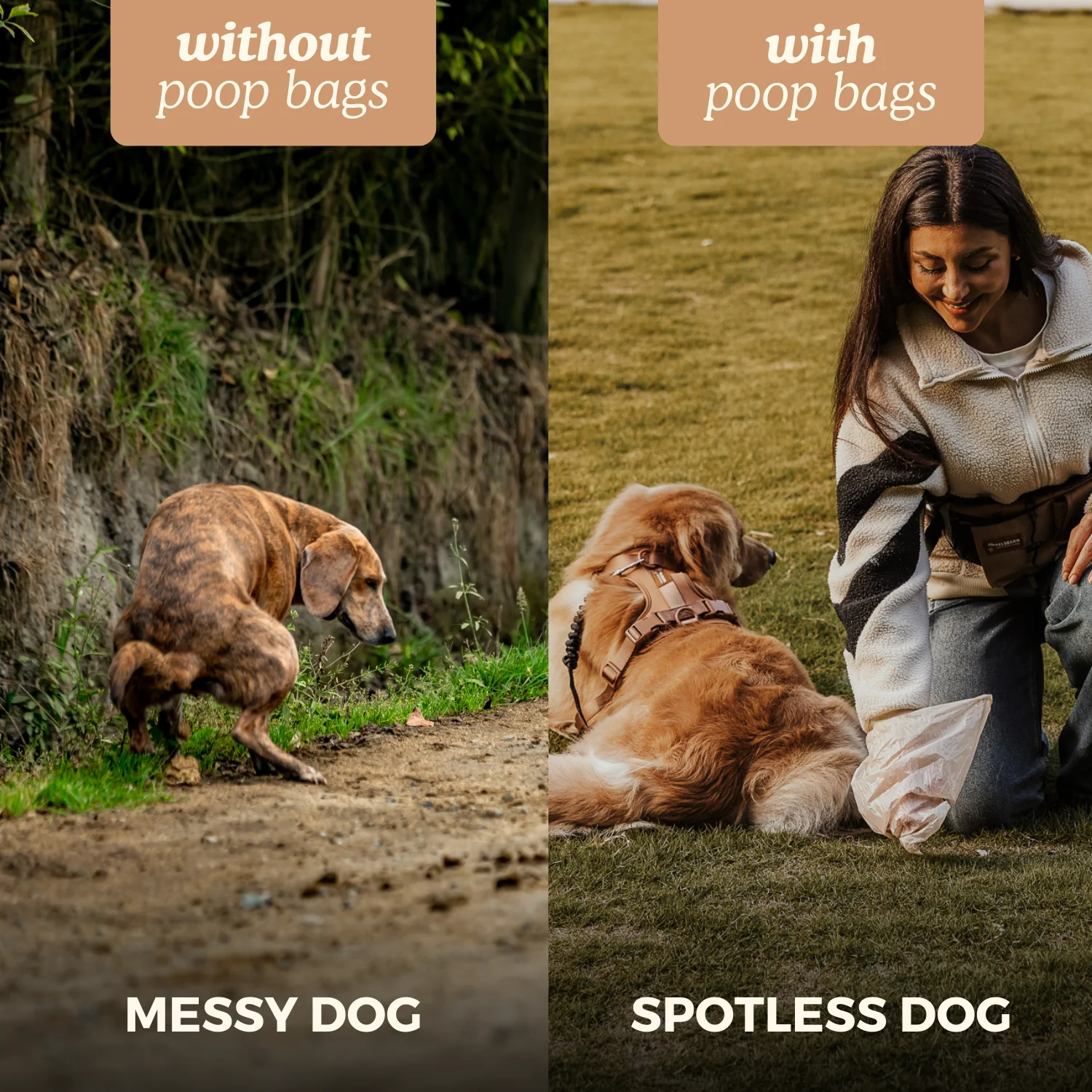 Eco Poop Bags - Image 9