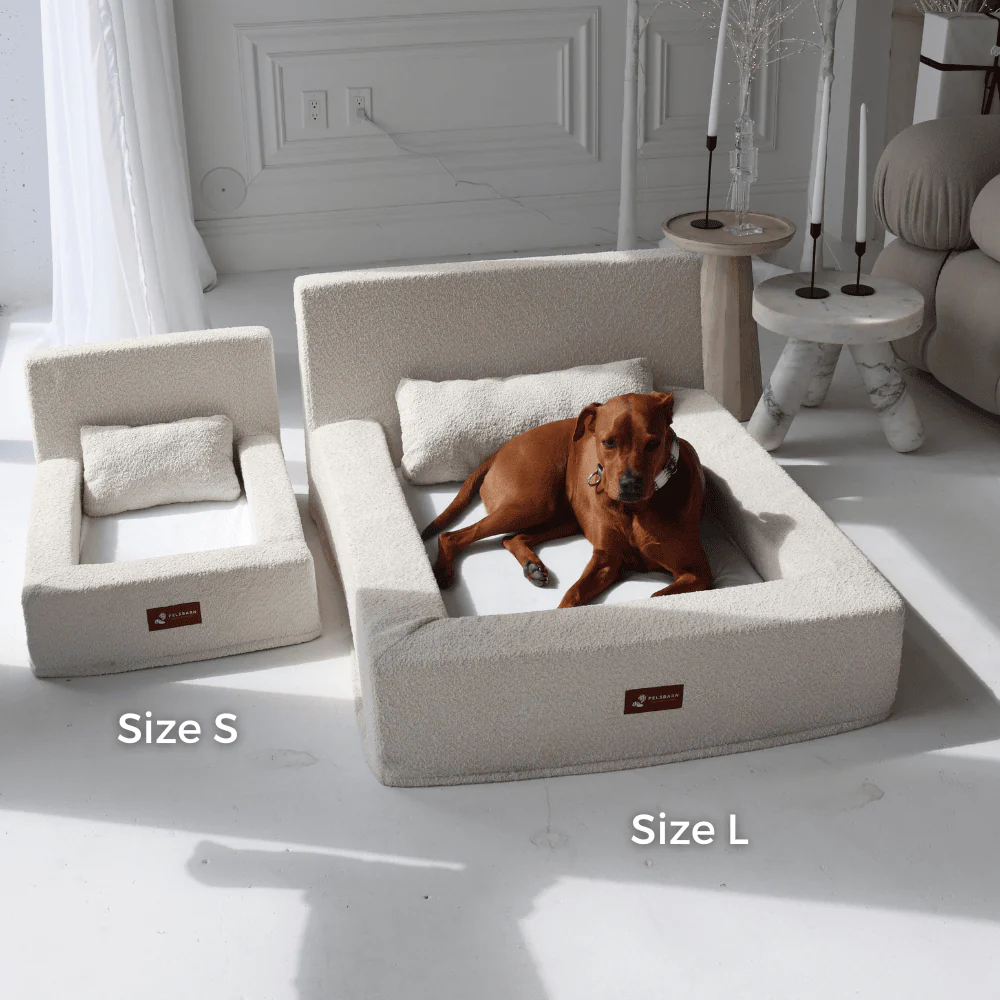 REAL orthopedic bed for dogs - Image 13