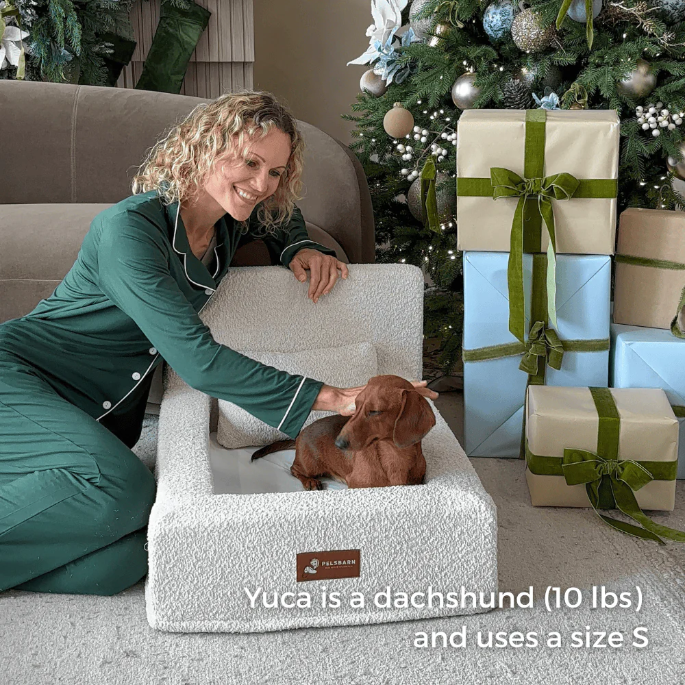 REAL orthopedic bed for dogs - Image 3