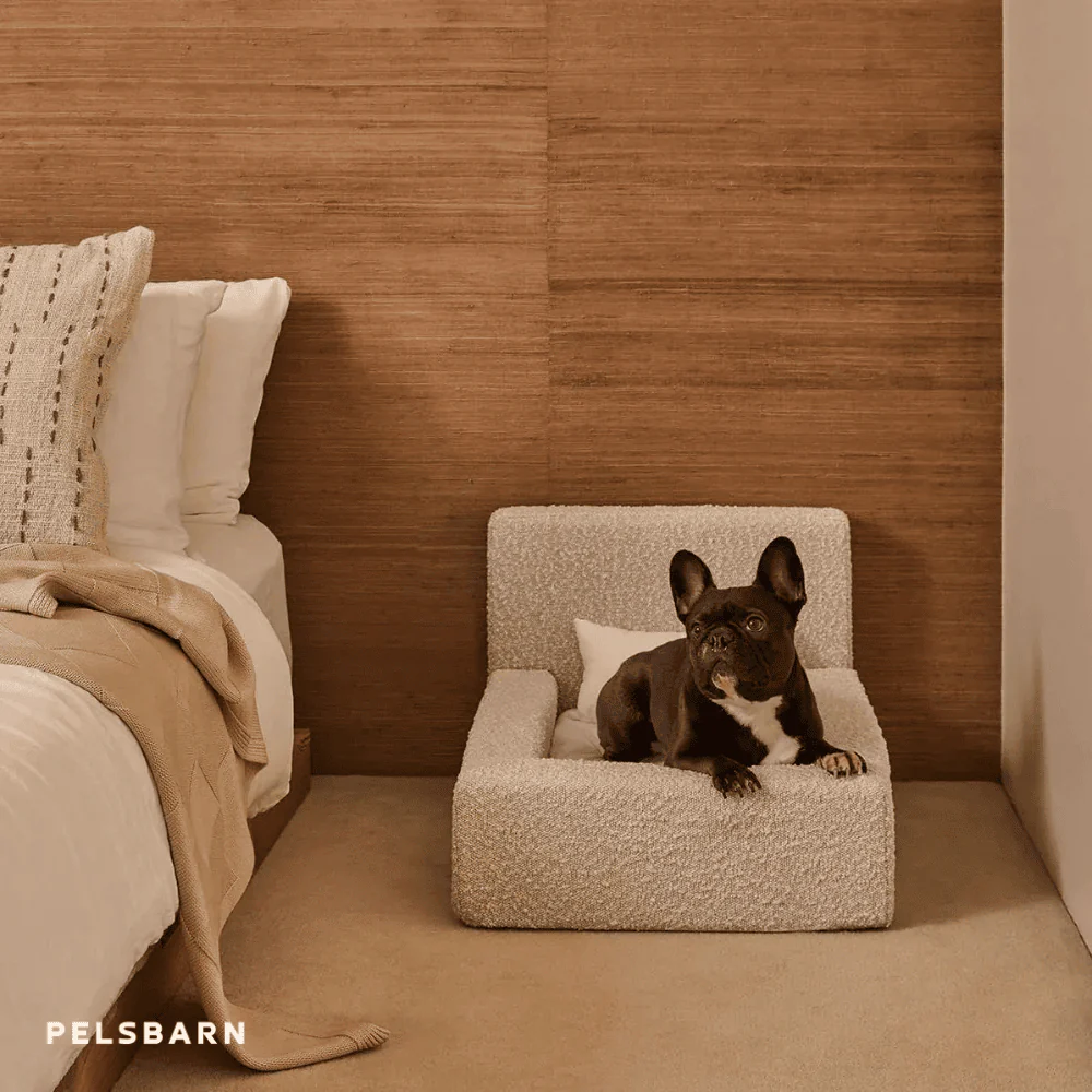 REAL orthopedic bed for dogs - Image 12