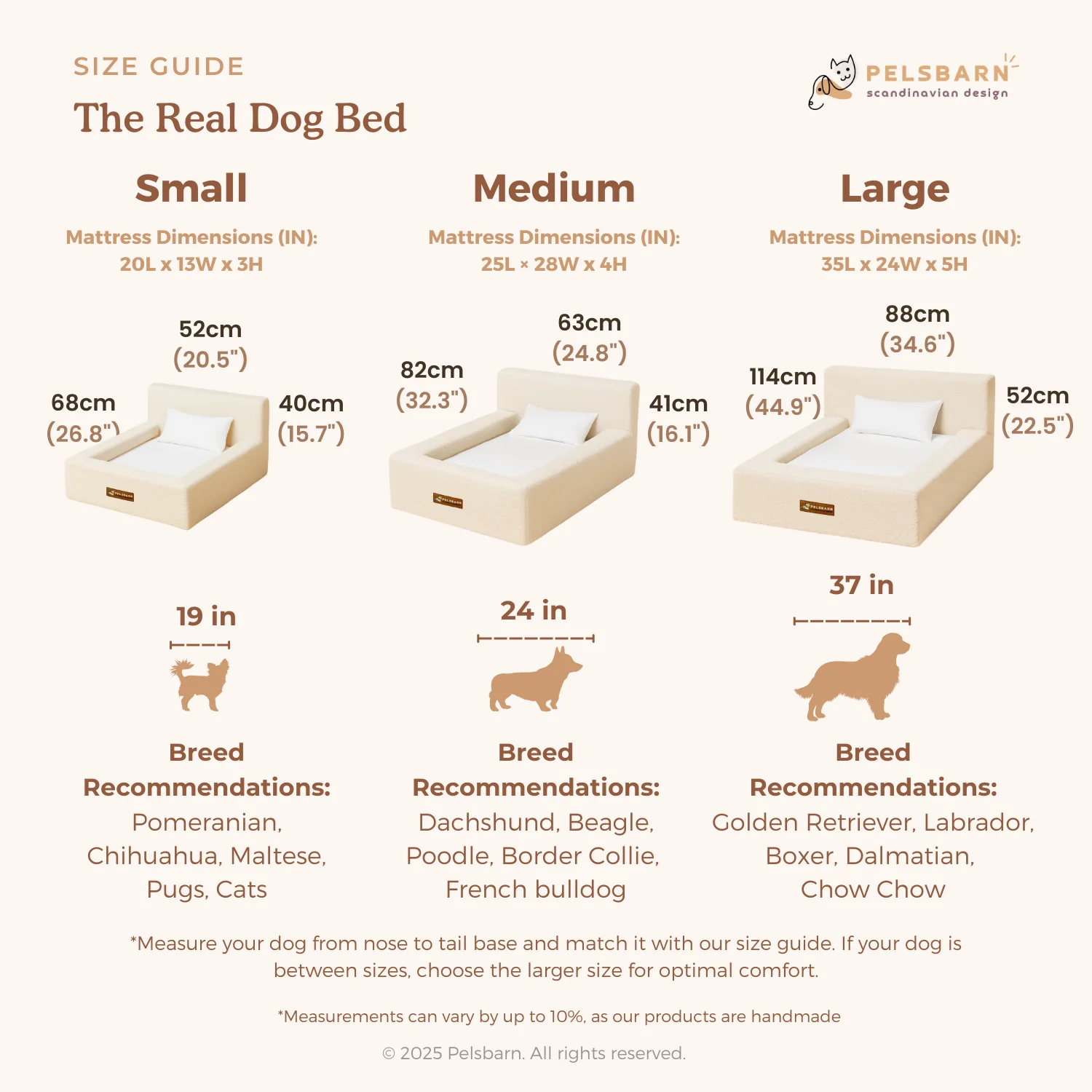 REAL orthopedic bed for dogs - Image 17