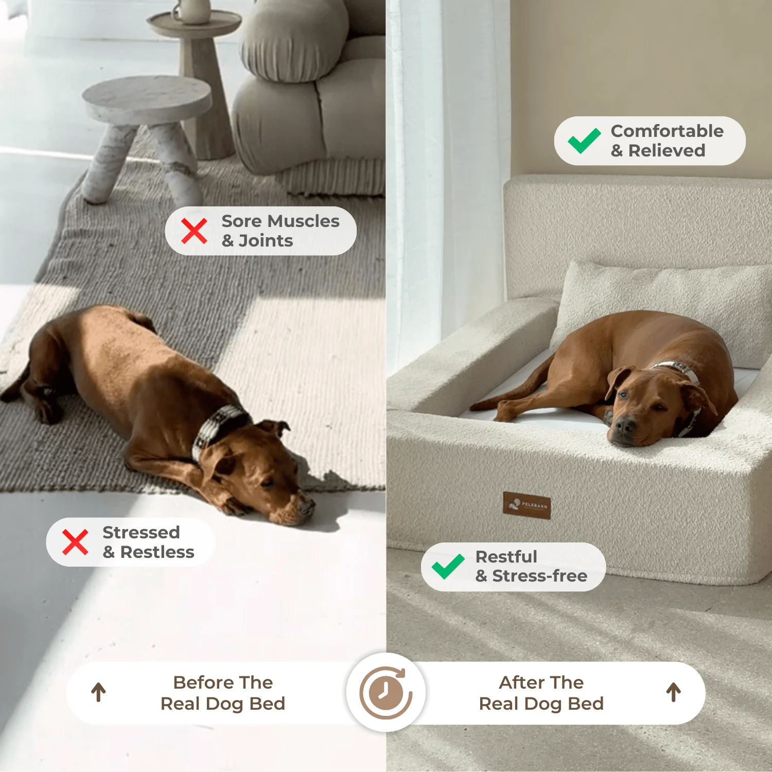 REAL orthopedic bed for dogs (including mattress and pillow) - Image 3