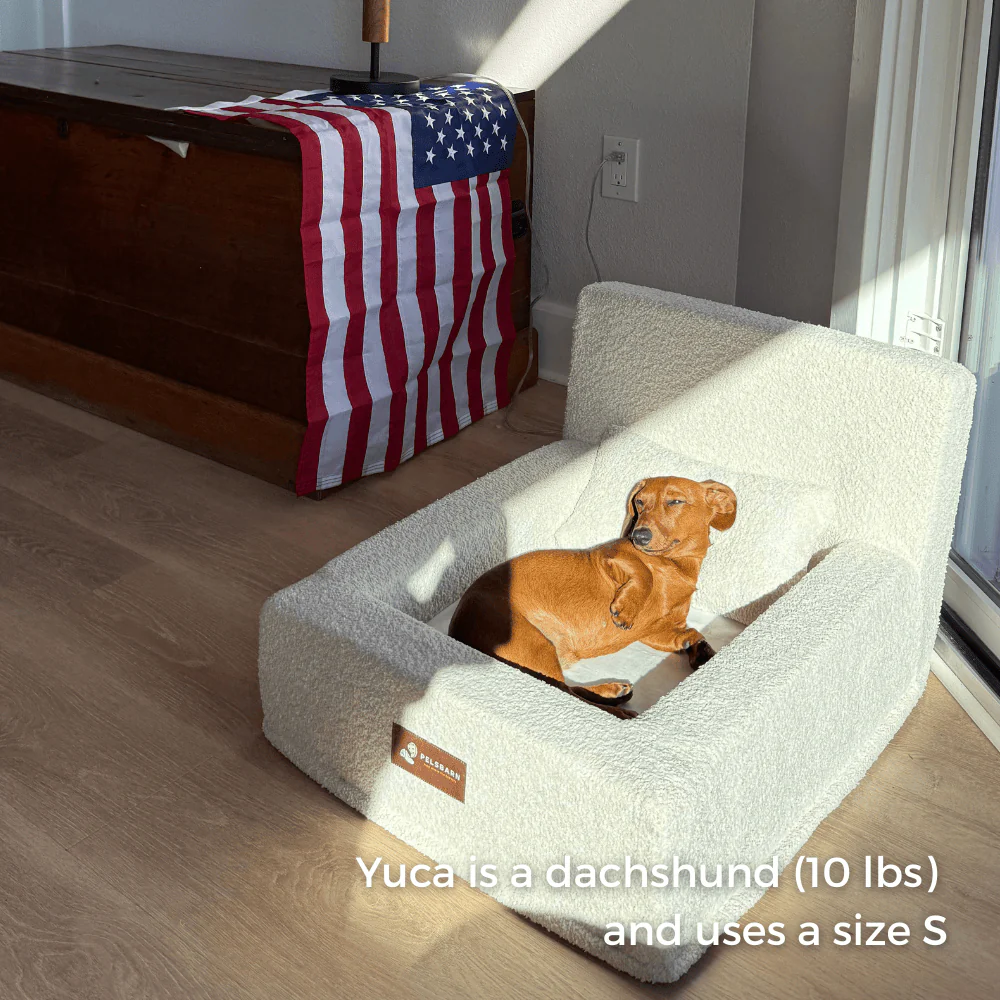 REAL orthopedic bed for dogs - Image 6