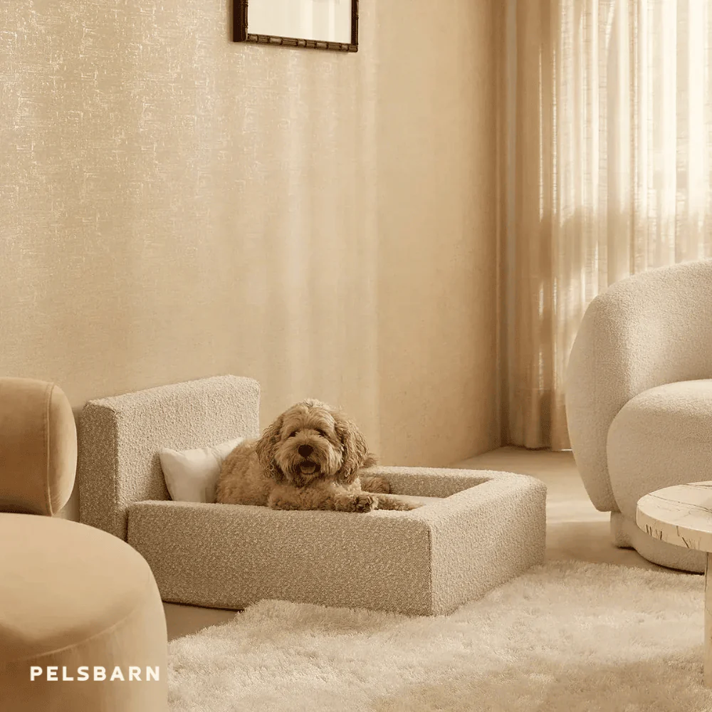 REAL orthopedic bed for dogs - Image 11
