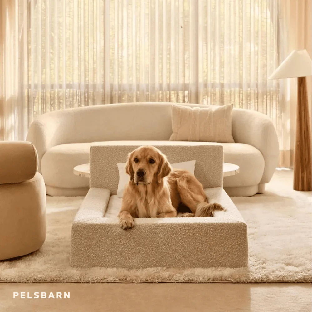 REAL orthopedic bed for dogs - Image 9