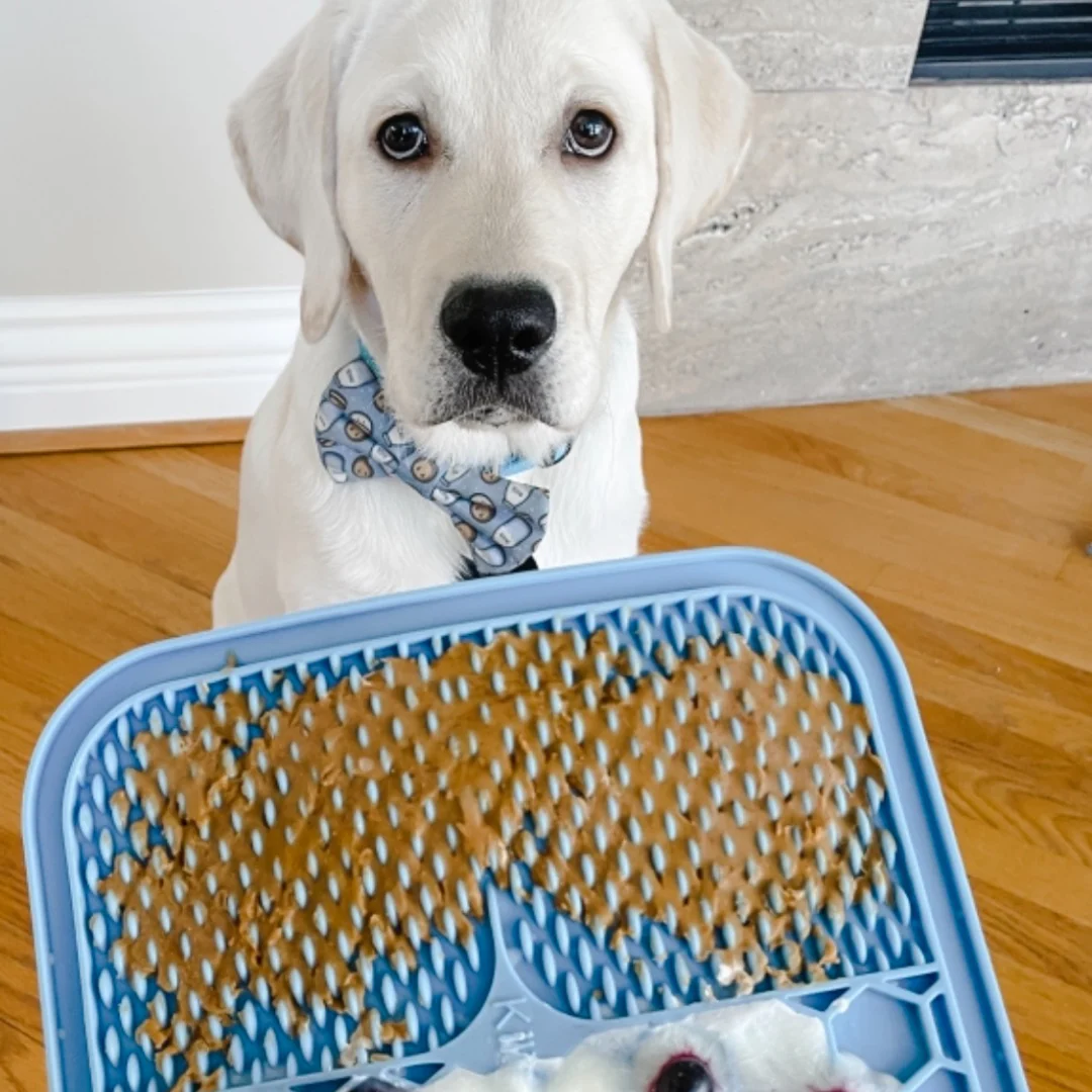 Soothing Lick Mat (vet recommended) - Image 3