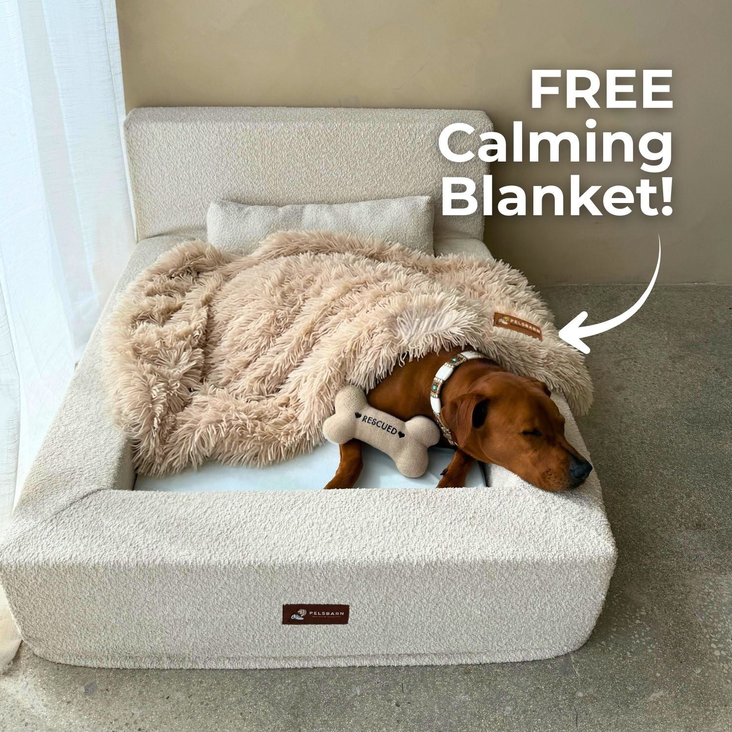 The Real Dog Bed + Free Calming Blanket - Image 21