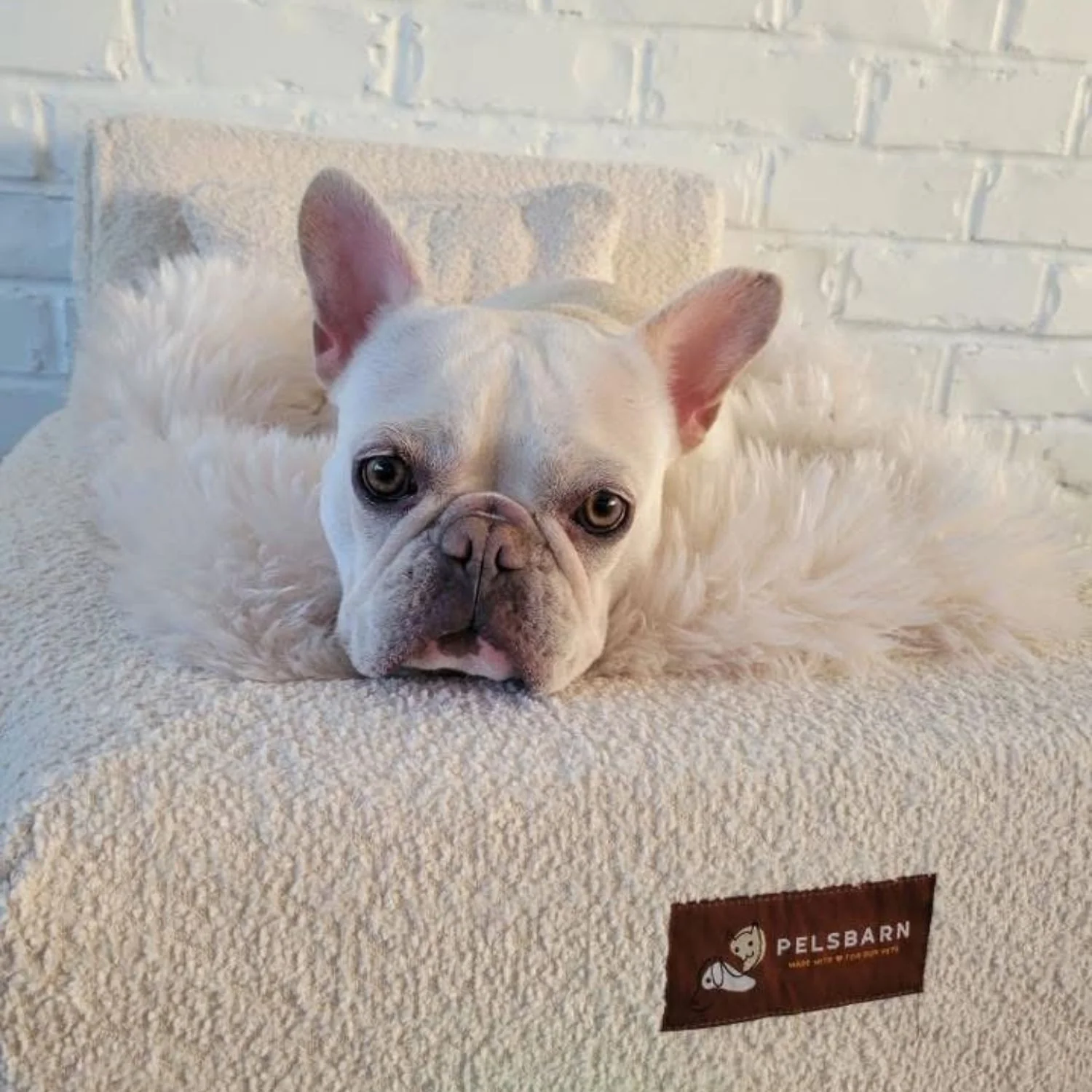 The Real Dog Bed + Free Calming Blanket - Image 29