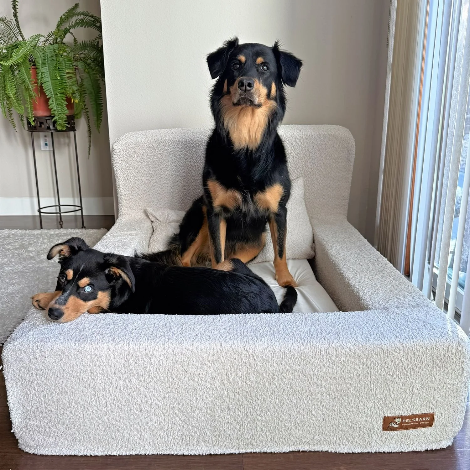The Real Dog Bed + Free Calming Blanket - Image 31