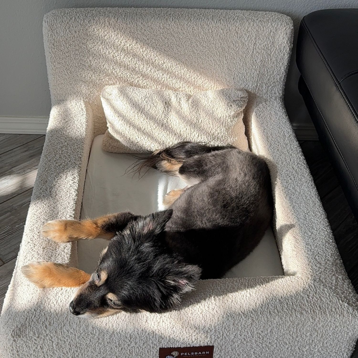 The Real Dog Bed + Free Calming Blanket - Image 32
