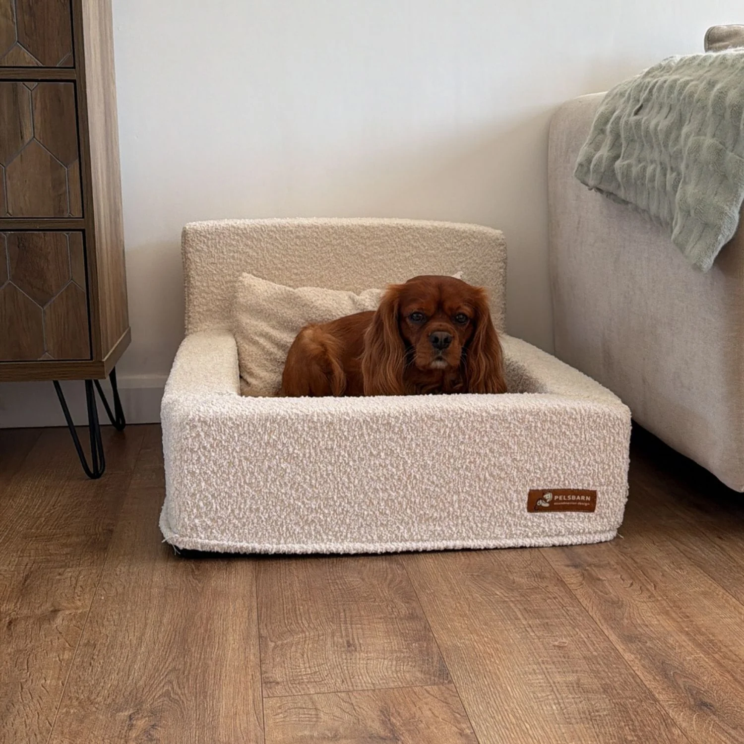 The Real Dog Bed + Free Calming Blanket - Image 34