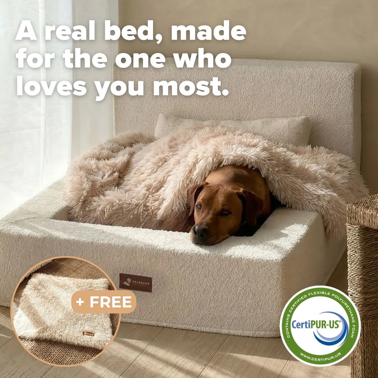The Real Dog Bed + Free Calming Blanket - Image 5